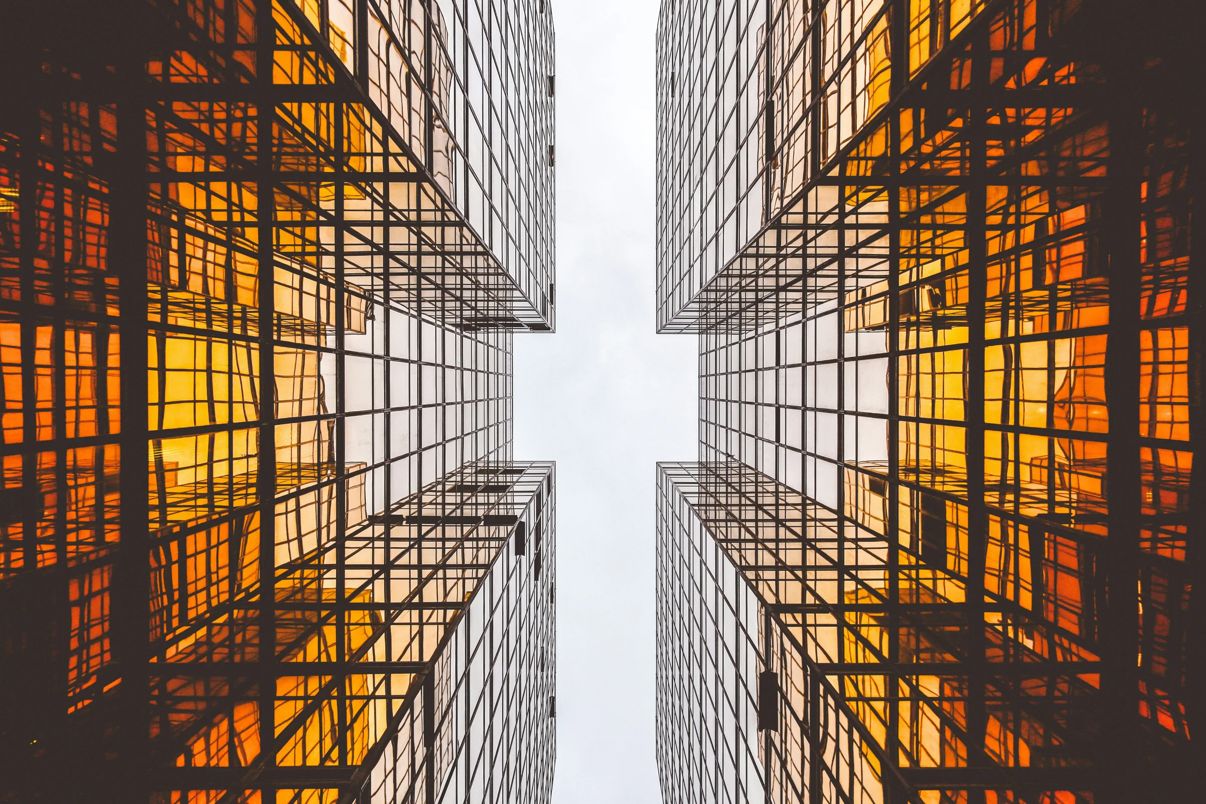 Strata manager reviewing levy forecast dashboard